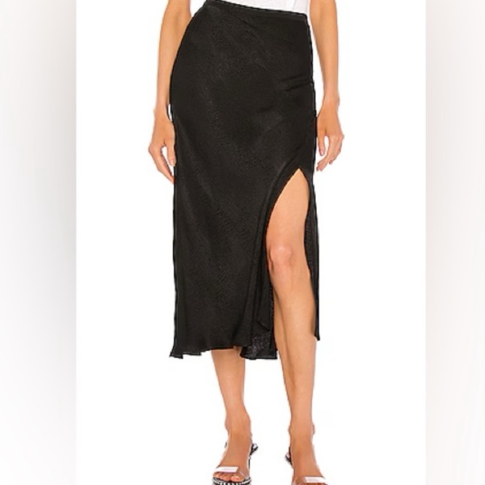 Anine Bing satin skirt, snake print goth